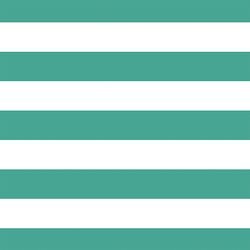 Horizontal Play Stripe in Jade