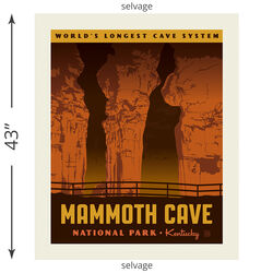 Mammoth Cave Poster Panel (2020)