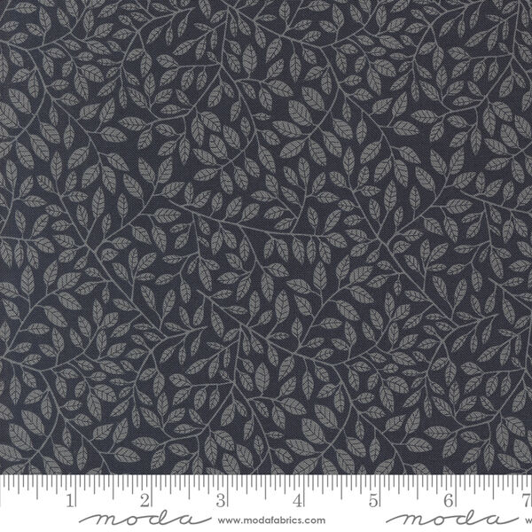 Hidden In Foliage in Midnight