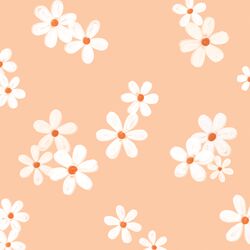 Large Daisies in Peach
