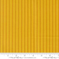 Stripe in Golden