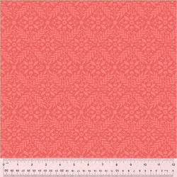 Lattice in Coral