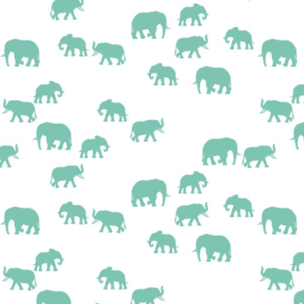 Elephant Silhouette in Succulent on White