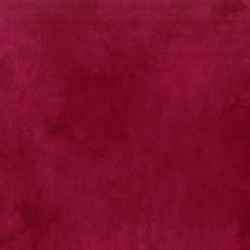 Palette in Wine