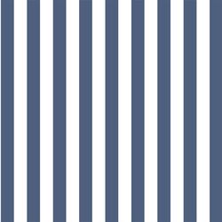 Candy Stripe in Midnight