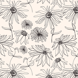 Aster Sketch in Faded Black on Cloud