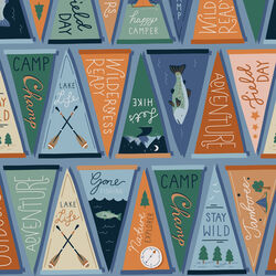 Field Pennants in Blue