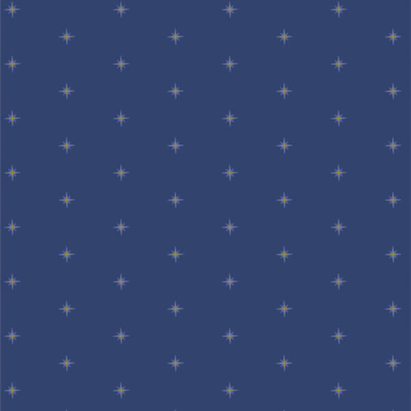 Shining in Stardusk
