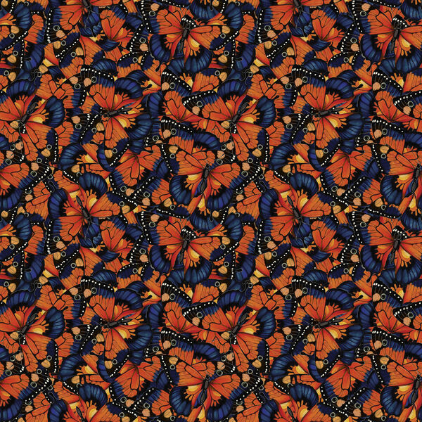 Packed Butterflies in Multi