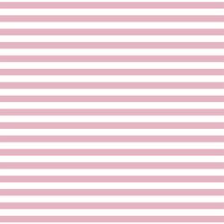 Horizontal Dress Stripe in Carnation
