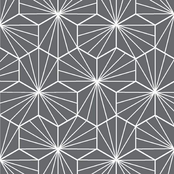 Radiate in Charcoal