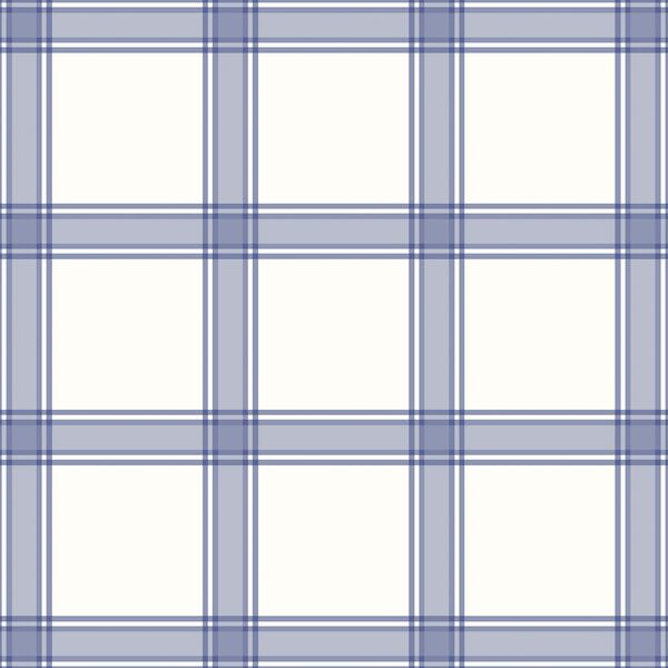 Homespun Plaid in Dutch Blue