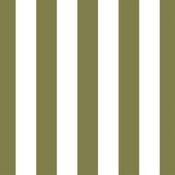Play Stripe in Jungle