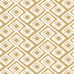 Woven Diamonds in Golden Canyon