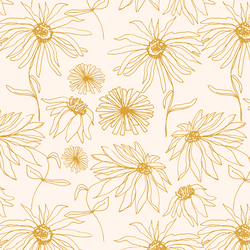 Aster Sketch in Sunshine on Cloud