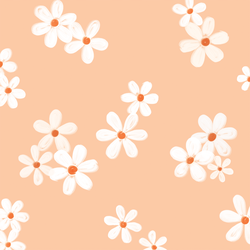 Large Daisies in Peach