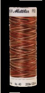 Autumn Spice (4820-9302) - Poly Sheen Multi - 220 Yards