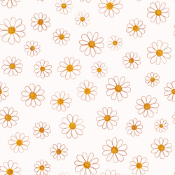 Large Valentine Daisy in Cream