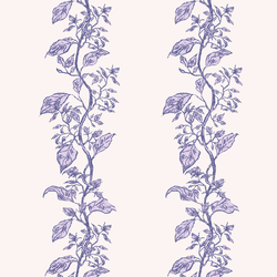 Romance Vine in Cameo