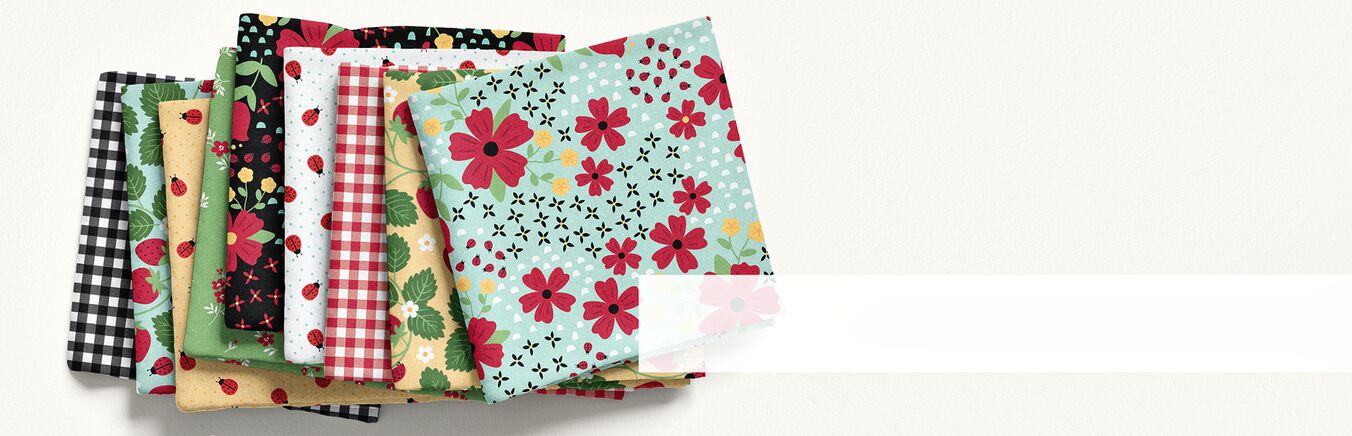 Little Ladybug Preview Image