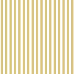 Dress Stripe in Honey