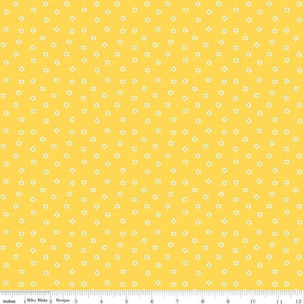 Daisies in Yellow