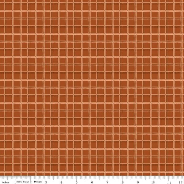 Plaid in Rust