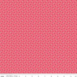 Genoveffa in Tea Rose
