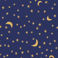Moonlit Night in Navy