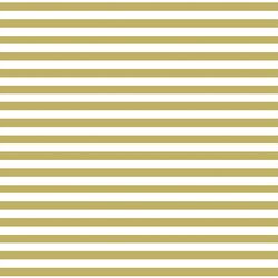 Horizontal Dress Stripe in Brass