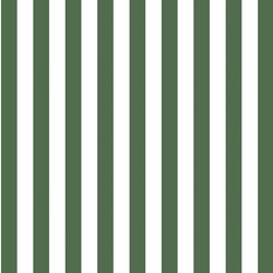 Candy Stripe in Kale