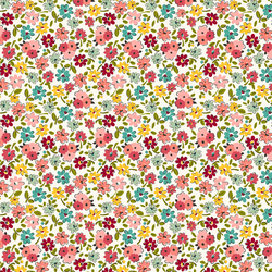 Daisy Garden in Blooming