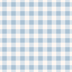 Sweet Gingham in Sky Blue