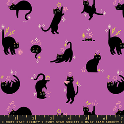 Catwalk in Witchy