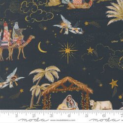 Silent Night in Night