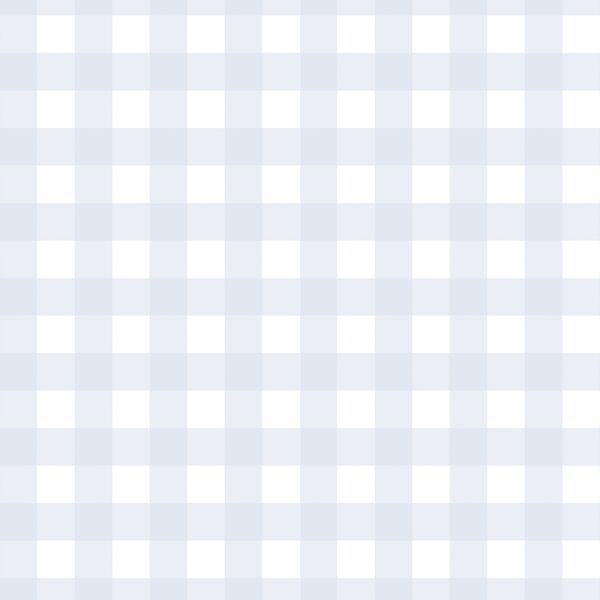 Spring Gingham in Nimbus Blue