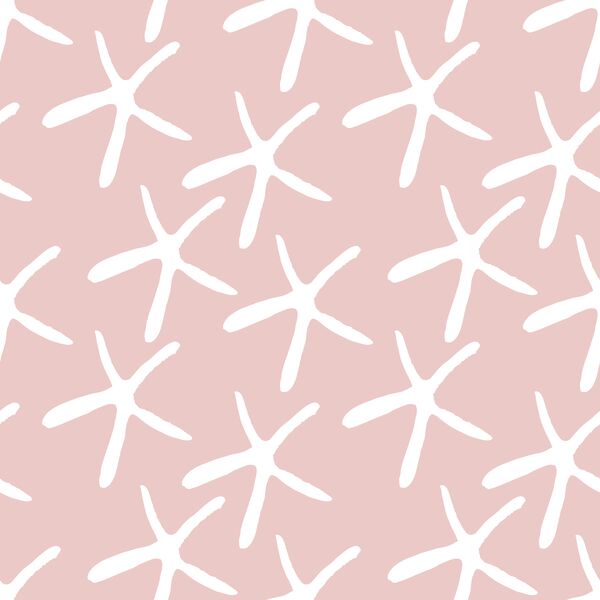 Starfish in Blush