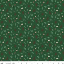 Foliage in Forest