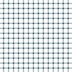 Summer Gingham Check in Blue
