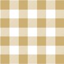 Buffalo Plaid in Golden Canyon