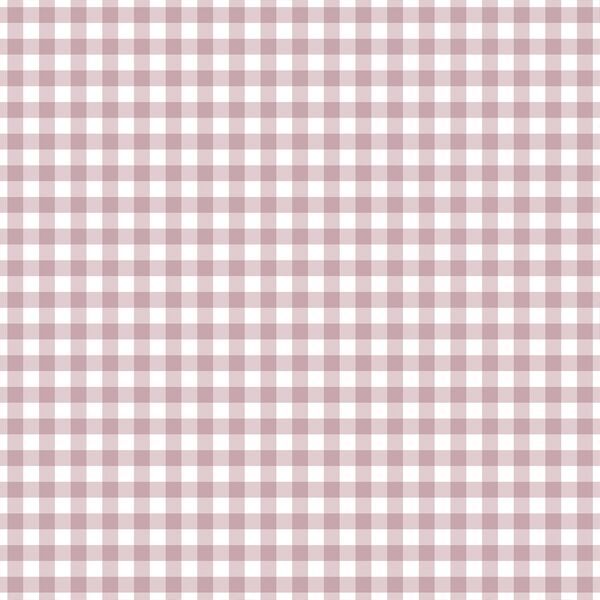 Western Gingham in Spanish Rose
