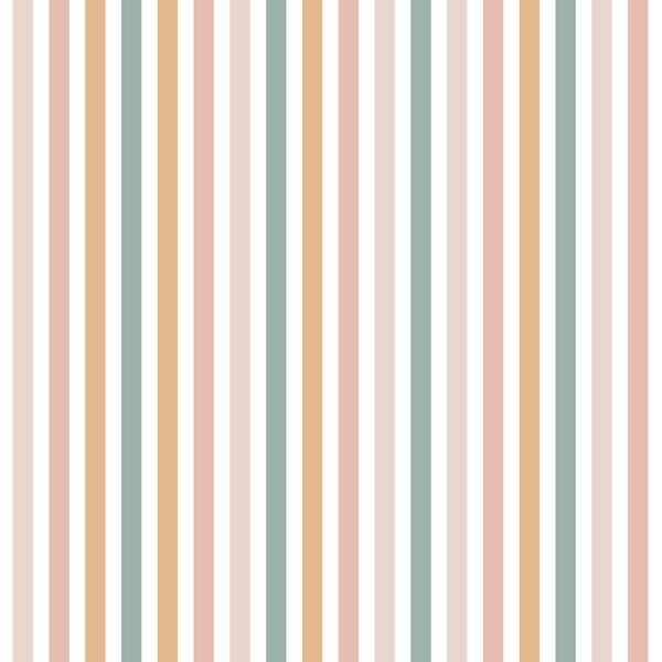Wild Stripe in Sunrise