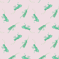 Grasshopper in Rose