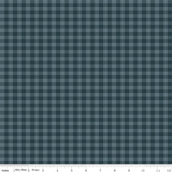 Plaid in Blue