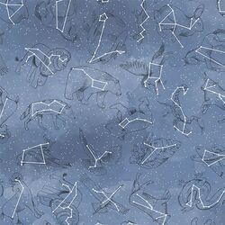Constellations in Midnight
