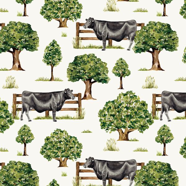 Black Angus Cow in Cream