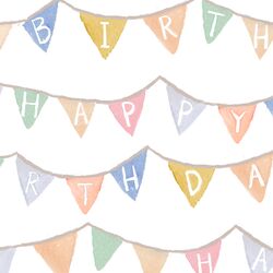 Birthday Banner in Party Animal
