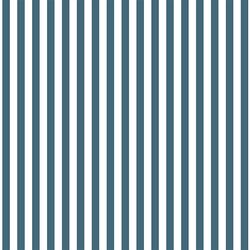 Dress Stripe in Lake