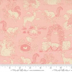 Garden Toile in Petal
