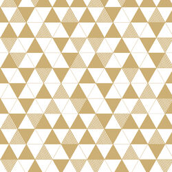 Triangulation in Golden Canyon